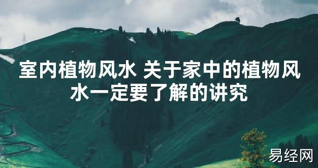 【2024最新风水】室内植物风水 关于家中的植物风水一定要了解的讲究【好运风水】